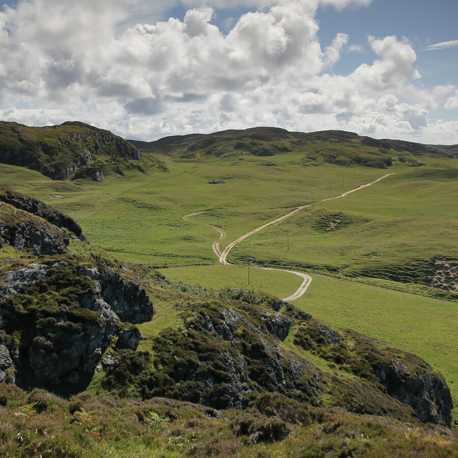 Archaeological walks